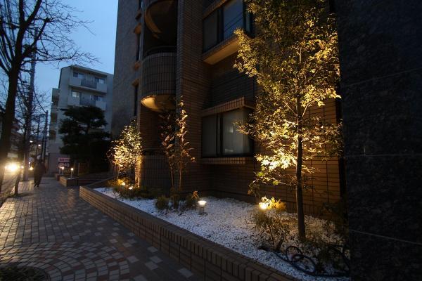 Local appearance photo