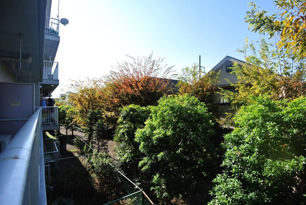 View photos from the dwelling unit. Selling local