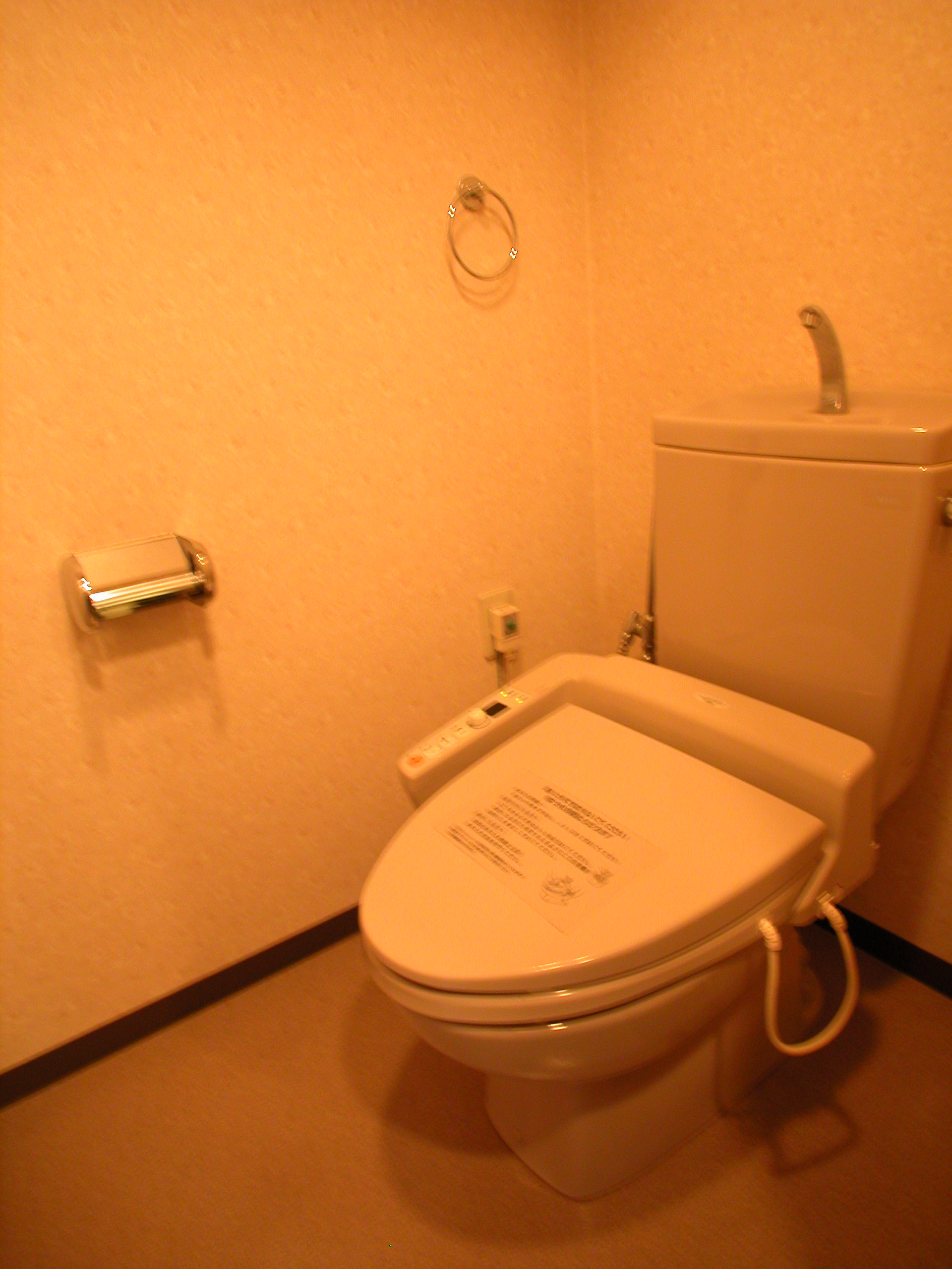 Toilet