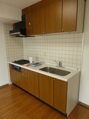 Kitchen. System kitchen