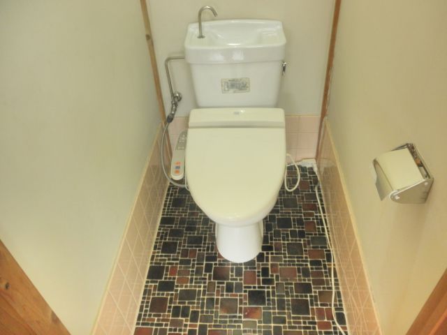 Toilet. Spacious toilet