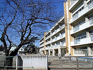 Primary school. 254m to Chofu Municipal Uenohara elementary school (elementary school)