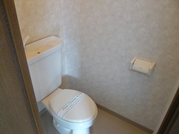 Toilet. Comfortable space in the toilet independent