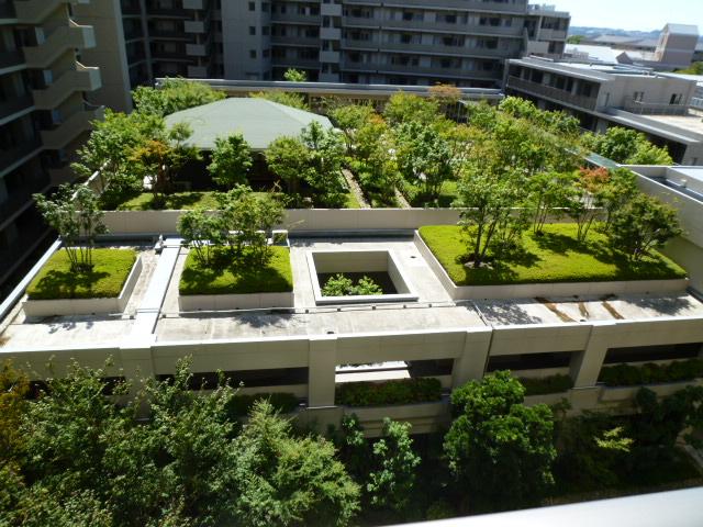 Other local. Rooftop garden (June 2013) Shooting