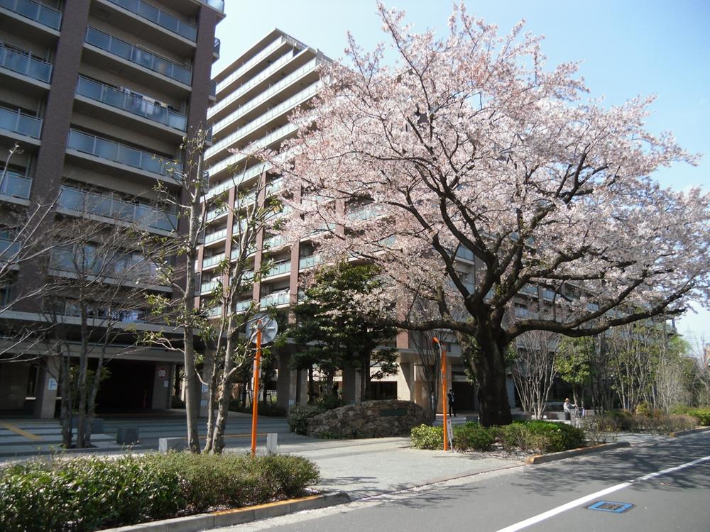 Local appearance photo. Local (April 2013) Shooting