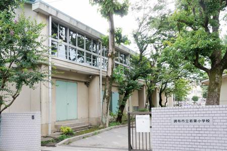 Primary school. Chofu Municipal Wakaba to elementary school 715m