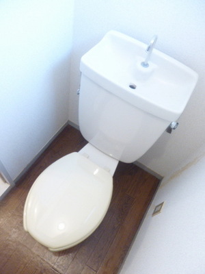 Toilet. Toilet