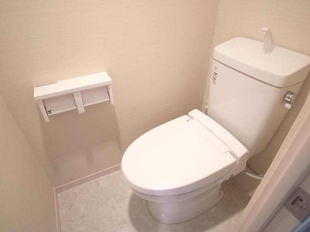 Toilet. Indoor (12 May 2013) Shooting