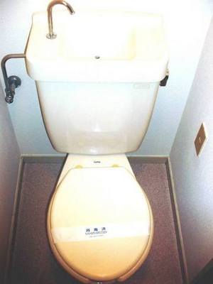 Toilet. Toilet