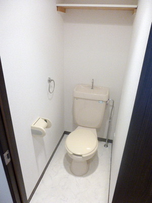 Toilet. There is a shelf on the toilet top