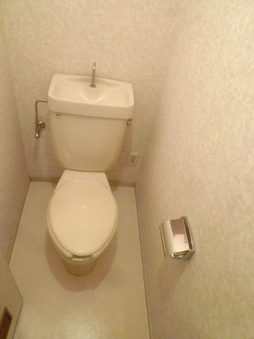 Toilet. Toilet