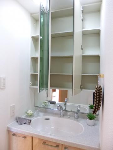 Wash basin, toilet. Three-sided mirror with storage