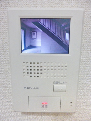 Security. TV monitor Hong