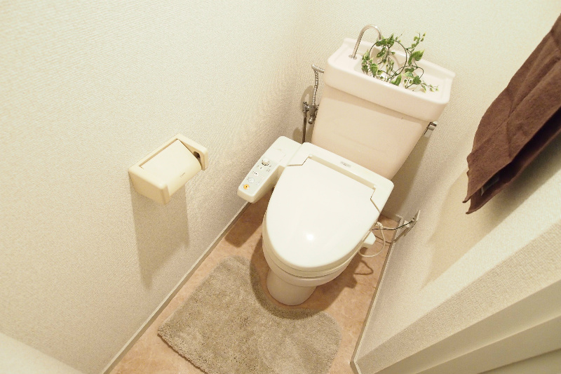 Toilet. Nicely settle space