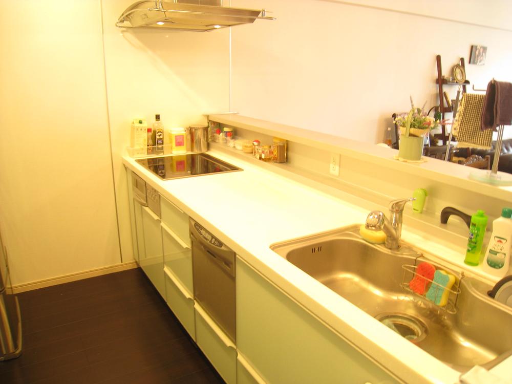 Kitchen. Indoor (09 May 2013) Shooting