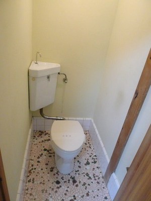 Living and room. Toilet