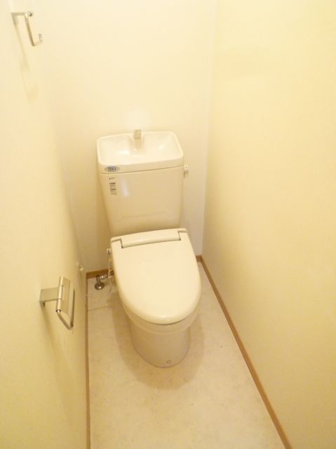 Toilet. Warm toilet function toilet