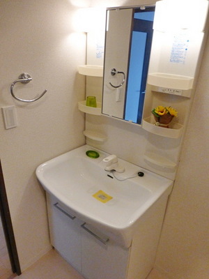 Washroom. It comes with a large independent wash basin