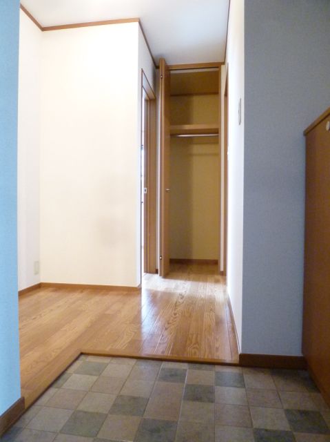 Entrance. Closet with floor-to-ceiling