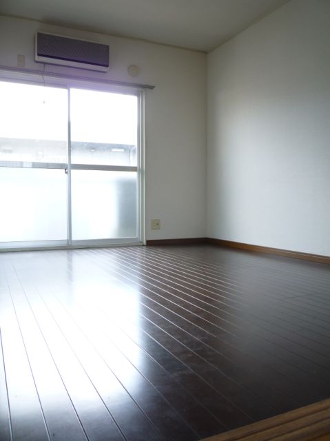 Living and room. Western-style room of flooring