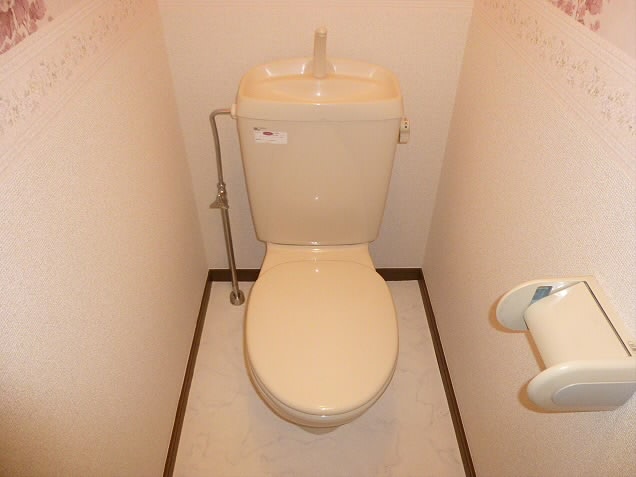 Toilet. It is the entire private room.