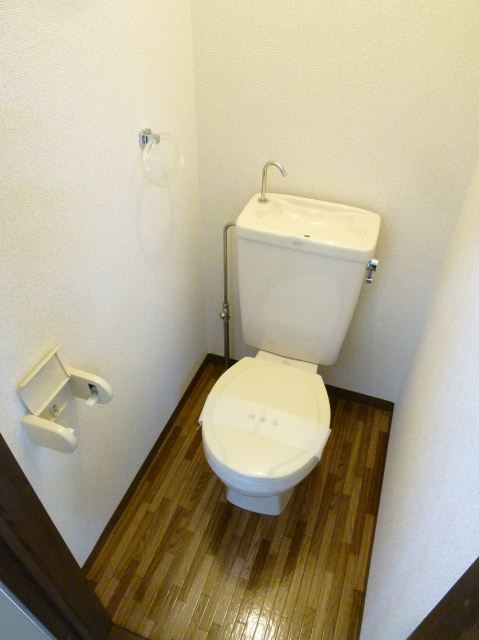 Toilet. Western-style toilet