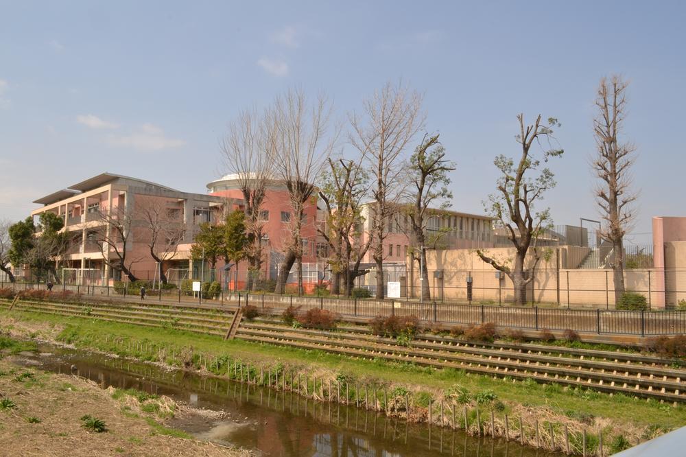 Primary school. Harmony Elementary School (800m)