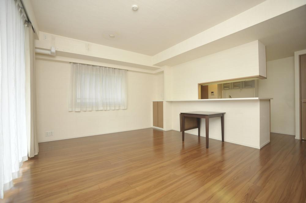 Living. Room (August 2013) Shooting