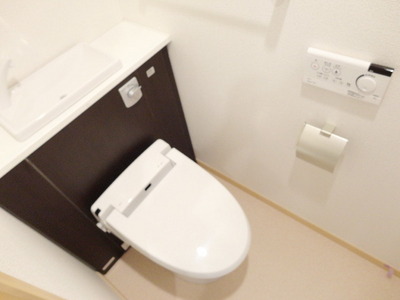 Toilet. Popular bidet with toilet