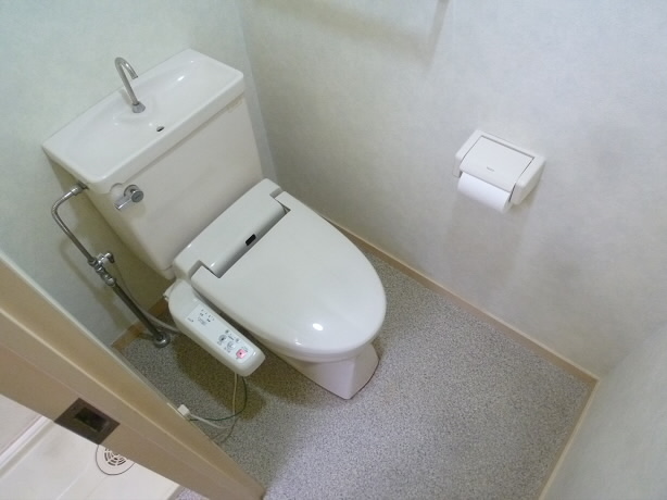 Toilet