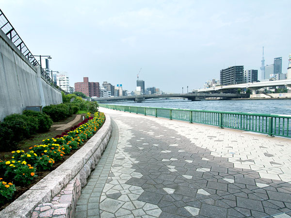Surrounding environment. Sumida River Terrace (a 9-minute walk / About 670m)