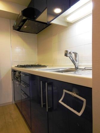 Kitchen. Indoor (11 May 2013) Shooting