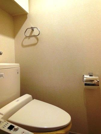 Toilet. Indoor (11 May 2013) Shooting