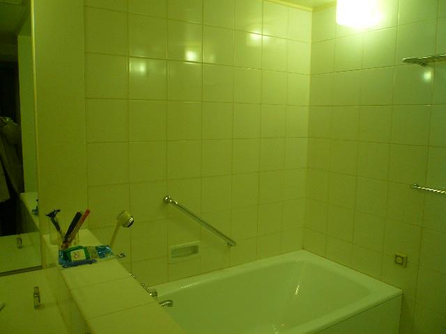 Bathroom. Indoor (January 2012) shooting