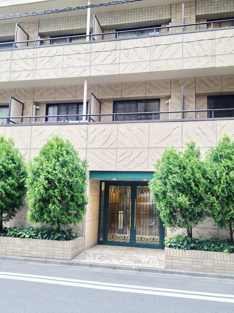 Entrance. Common areas