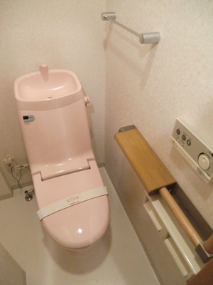 Toilet. Washlet is-out