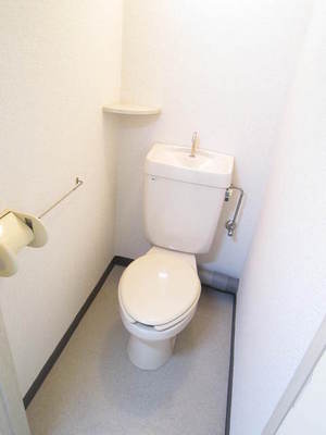 Toilet. Private toilet