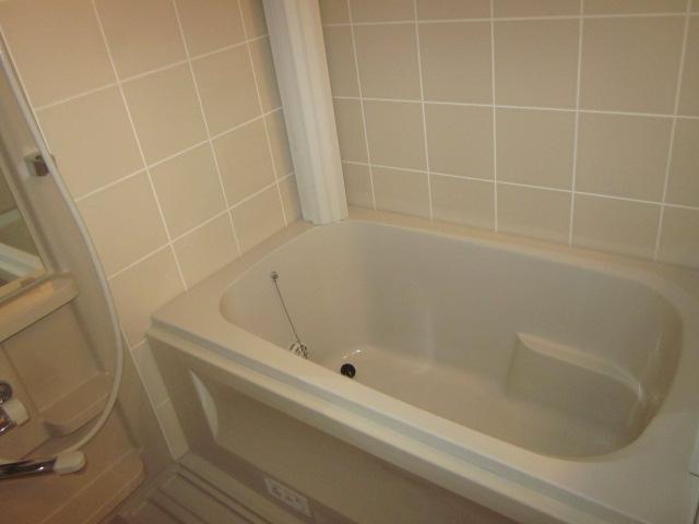 Bathroom. Indoor (10 May 2013) Shooting