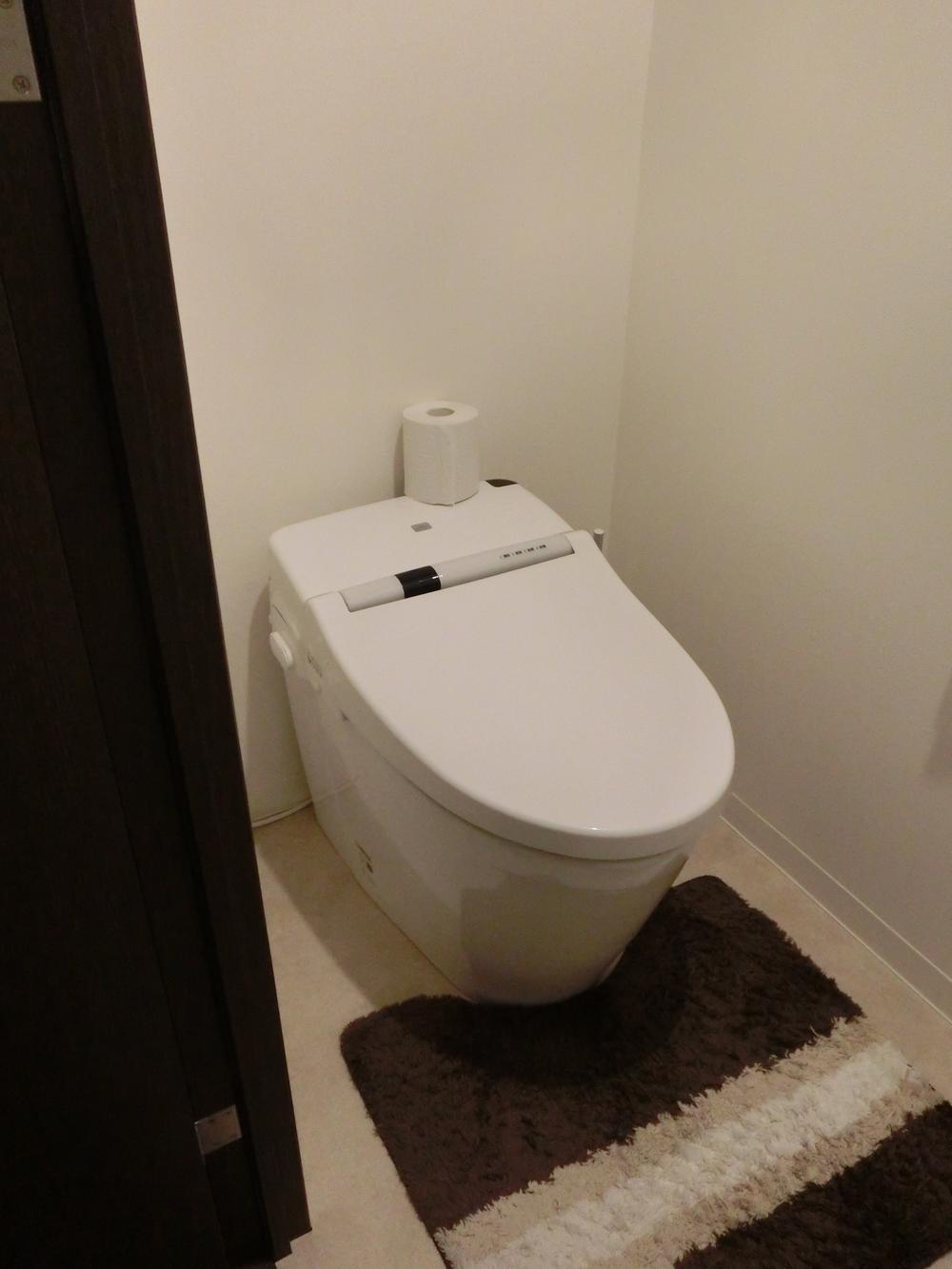 Toilet. Tankless toilet (November 2013) Shooting