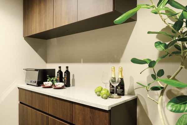 It comes standard with the cupboard in the interior kitchen back to blend into the room.