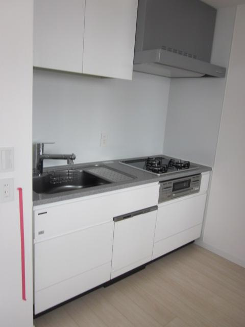 Kitchen. Indoor (February 2013) Shooting