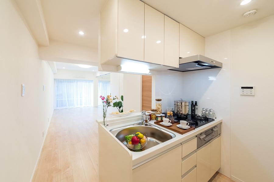 Kitchen. Popular counter kitchen