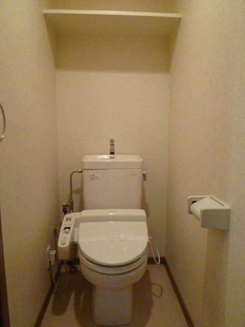 Toilet. Shower toilet.