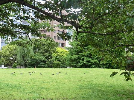 Streets around. ~ Enhancement of the surrounding environment ~  Toyomi Sports Park