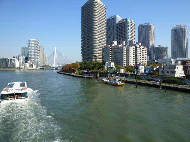 Other. Sumida River and the River City 21 East Towers