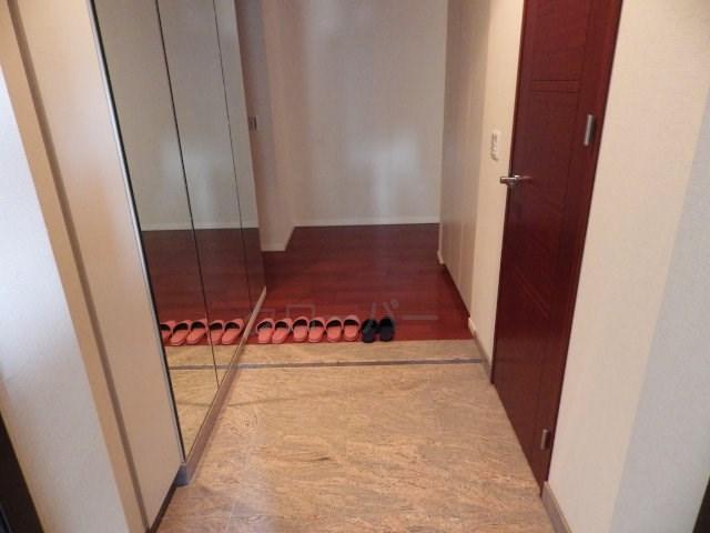 Entrance. The room from the front door