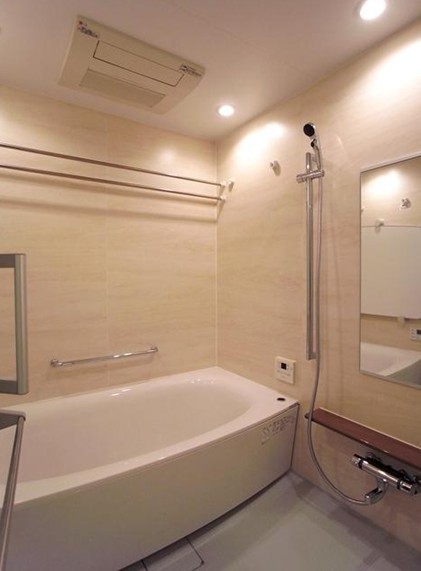Bath. Mist sauna, Bathroom Dryer, Reheating function rooms