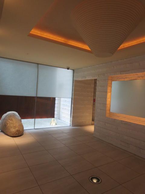 Other introspection. Stylish entrance