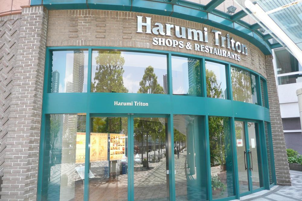 Other. Harumi Triton Square (1) a 3-minute walk away (about 193m)