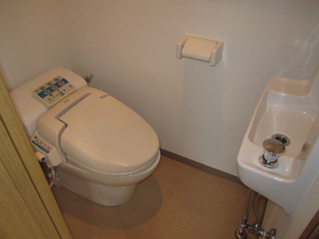 Toilet. 18 Pledge of broad Western-style.